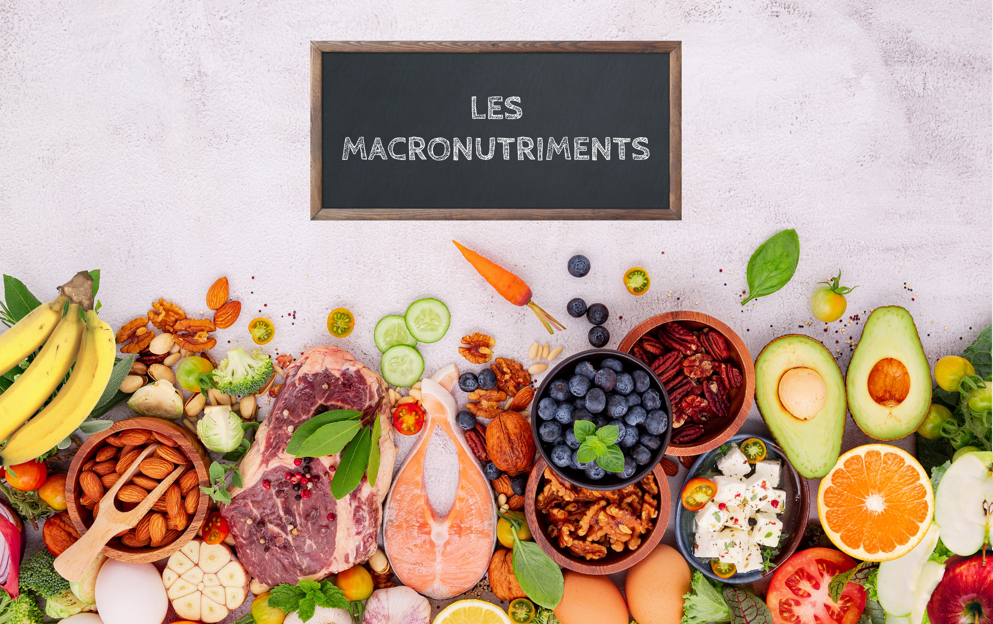 les macronutriments